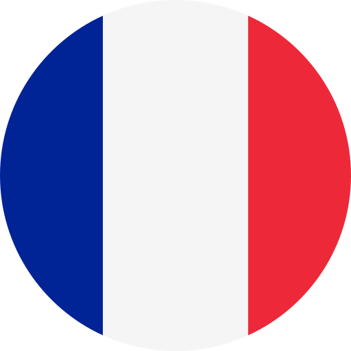 icone drapeau france
